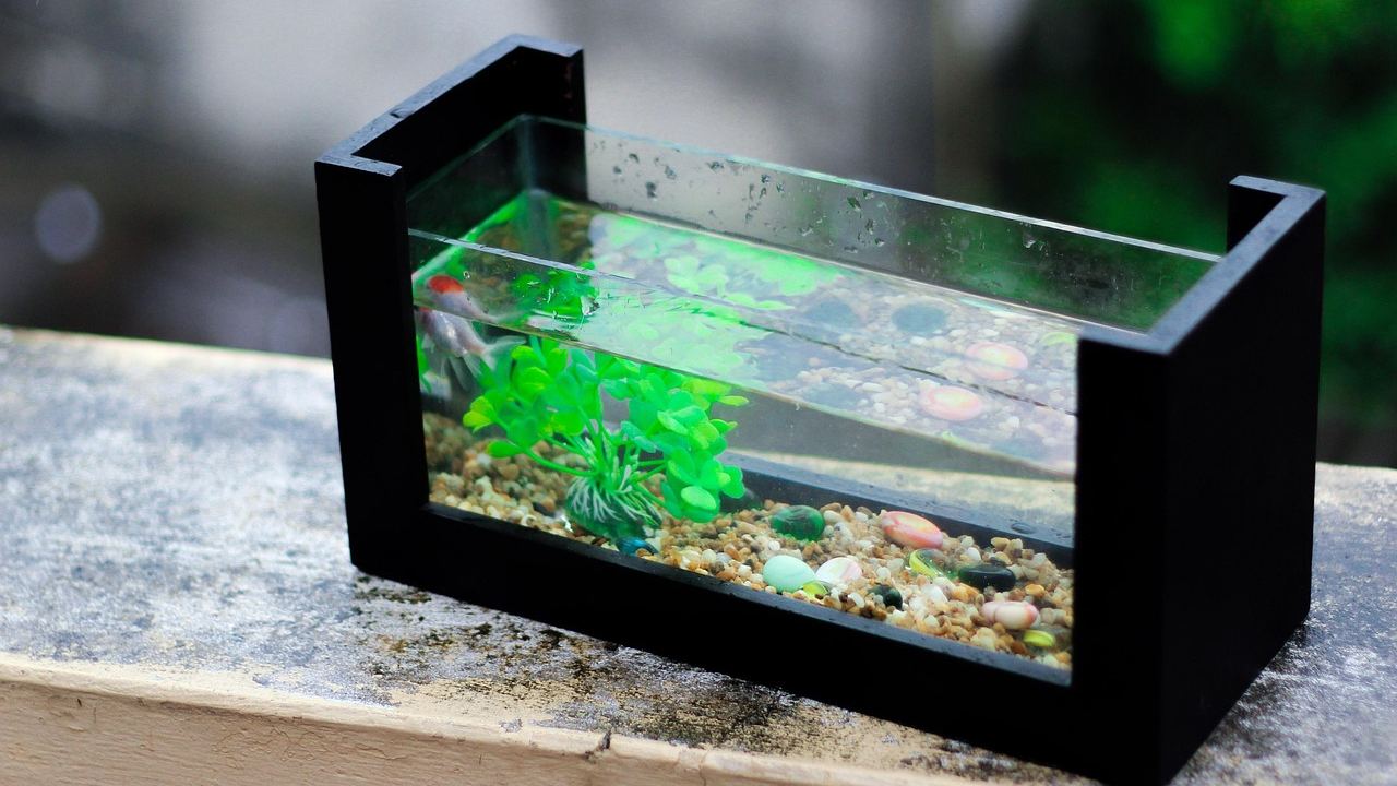 Aquarium-Stromkosten-Rechner – Symbolbild